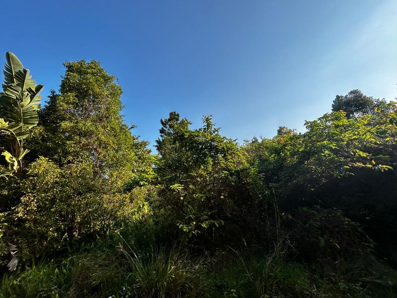 Why Not Build Your Dream Home !! - Photo 4