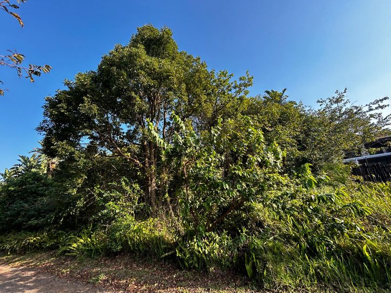 Why Not Build Your Dream Home !! - Photo 2