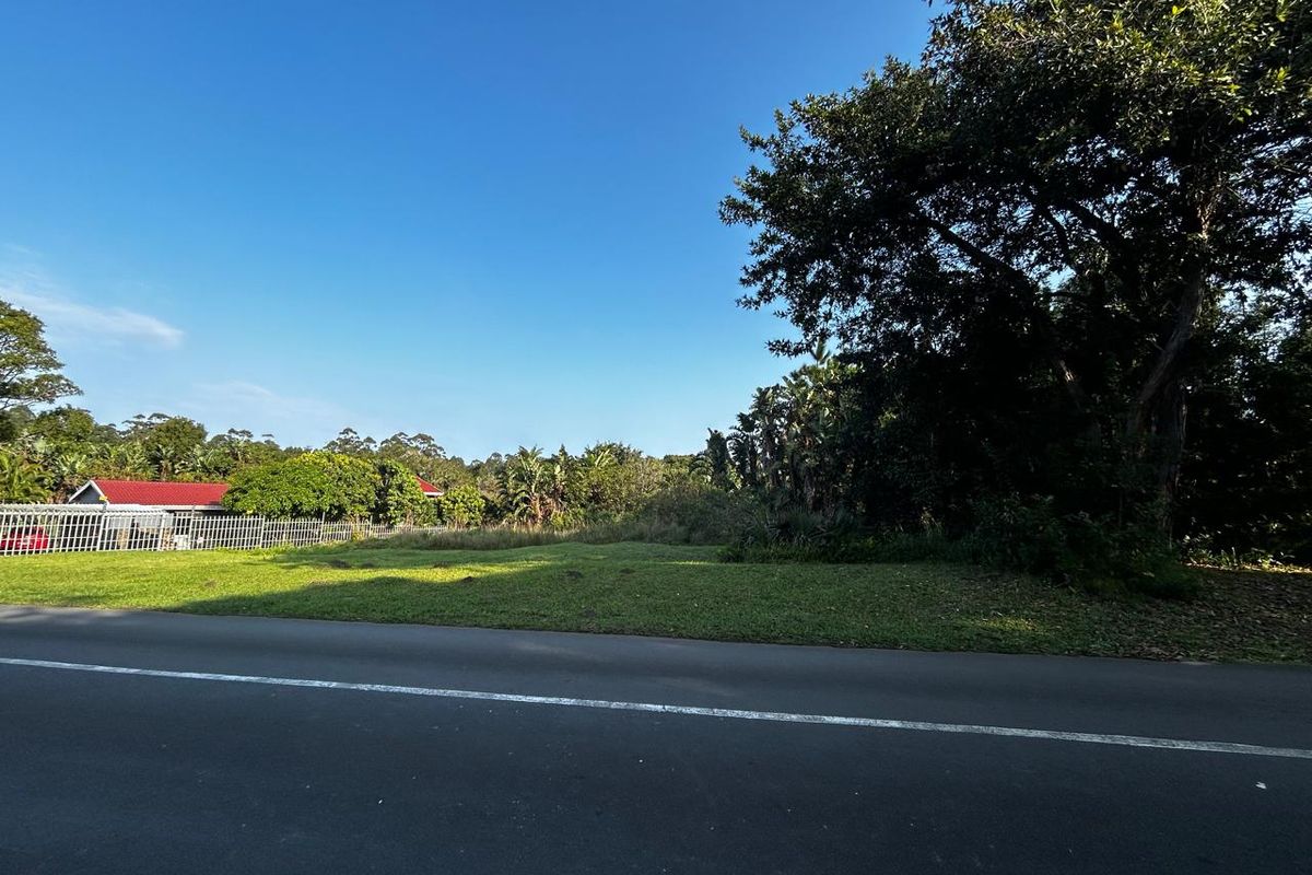 A street-level view of a vacant residential plot featuring a grass verge, mature trees, and perimeter fencing along an asphalt road.