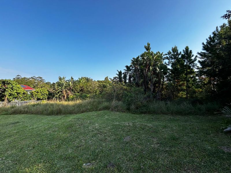 Build Your Dream Home - Photo 4