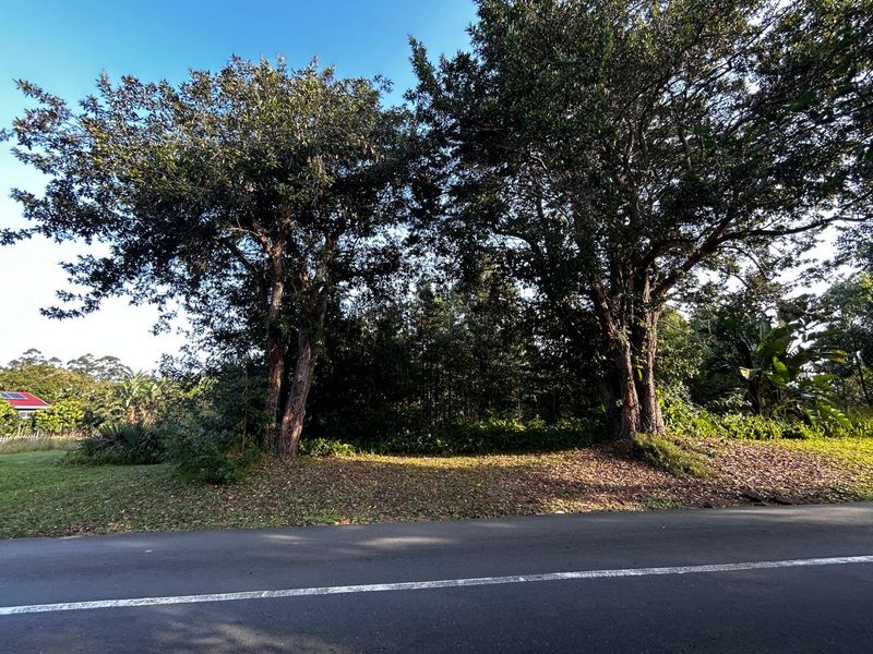 Build Your Dream Home - Photo 8