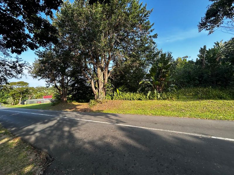 Build Your Dream Home - Photo 7