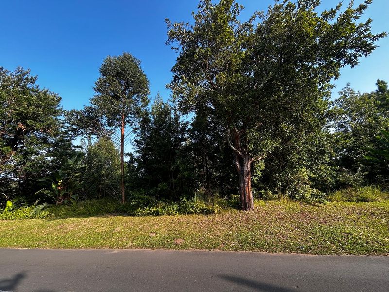 Build Your Dream Home - Photo 6