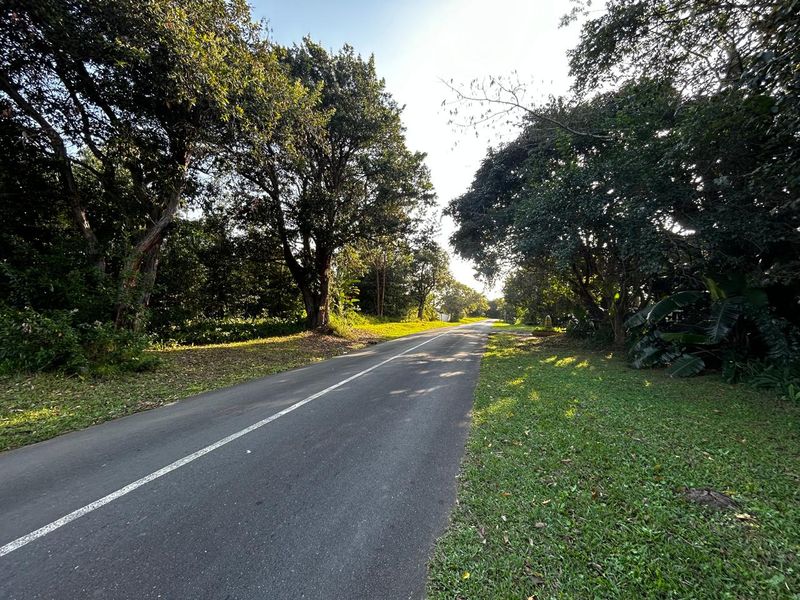 Build Your Dream Home - Photo 2