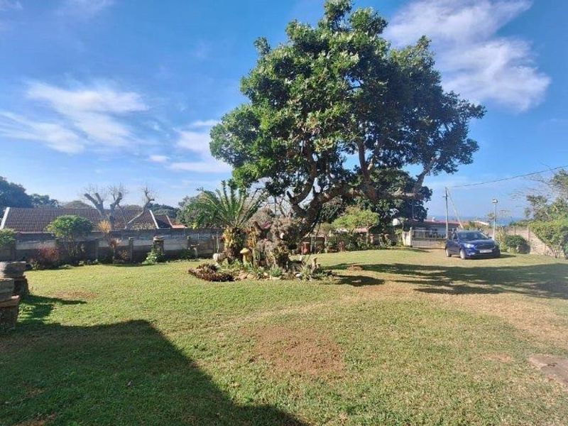 A spacious, well-maintained garden featuring a large mature tree, expansive lawn area, and secure perimeter walling.
