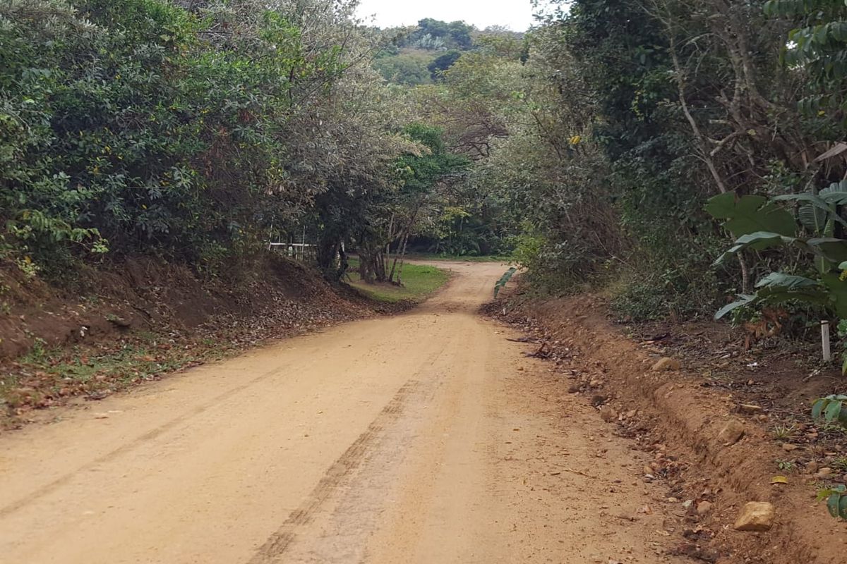 A view of an unpaved dirt access road leading into a natural, tree-lined residential plot.