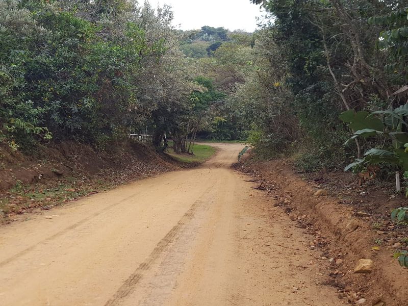 A view of an unpaved dirt access road leading into a natural, tree-lined residential plot.