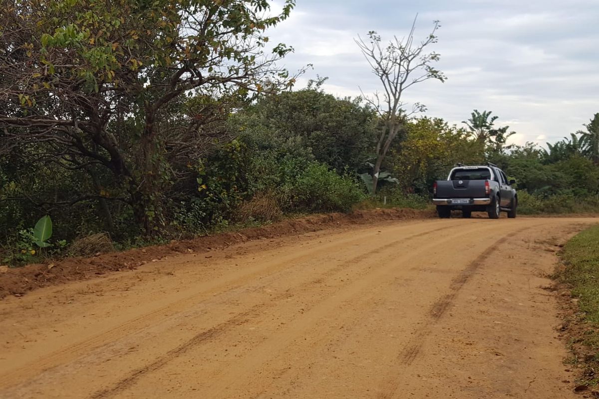 A view of an unpaved dirt road providing access to the vacant residential land, surrounded by natural vegetation.