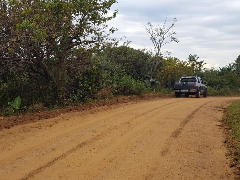 A view of an unpaved dirt road providing access to the vacant residential land, surrounded by natural vegetation.