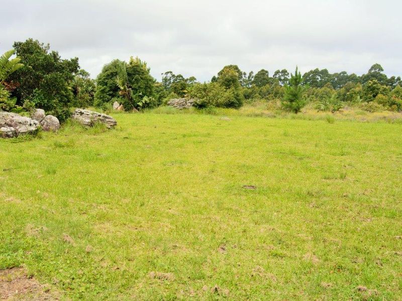 A spacious, open grassy field on the farm property featuring natural rock formations and mature trees along the perimeter.