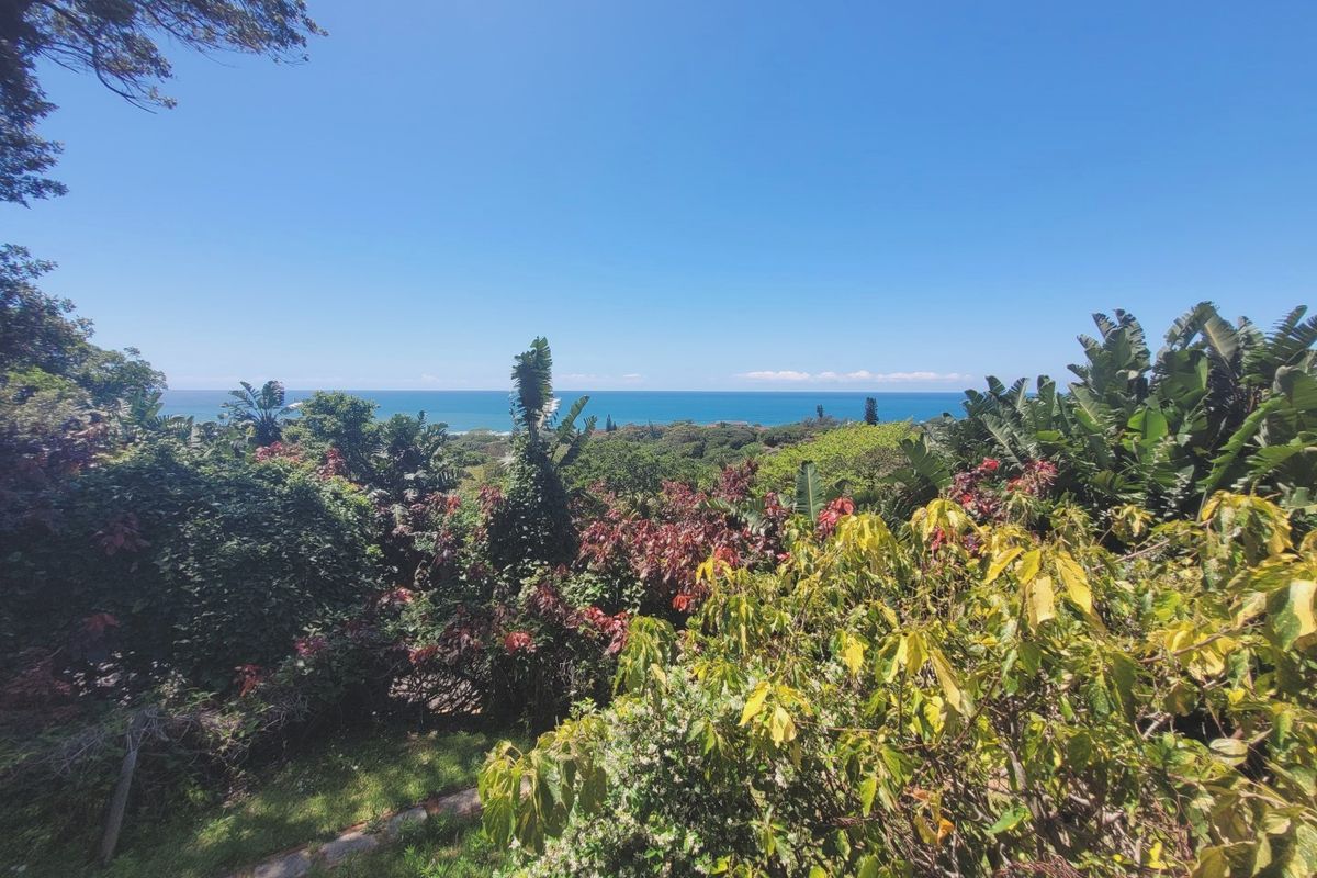 Rooms with an Ocean View - Massive Drop In Price! - Photo 2