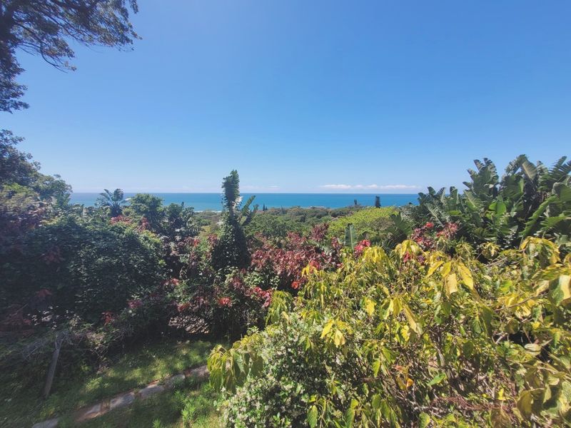 A scenic elevated view overlooking lush coastal vegetation with a clear horizon line over the ocean.