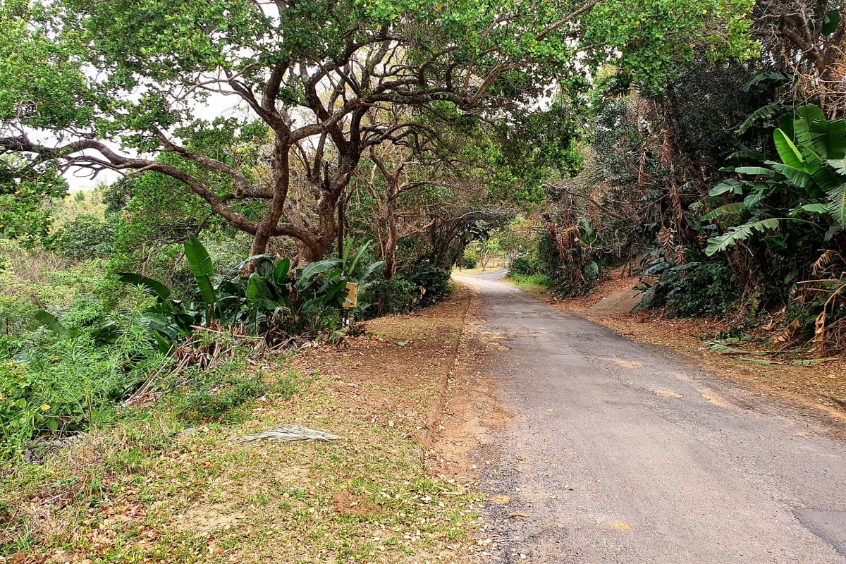 A view of a paved residential street lined with mature trees and natural vegetation, providing access to the property.
