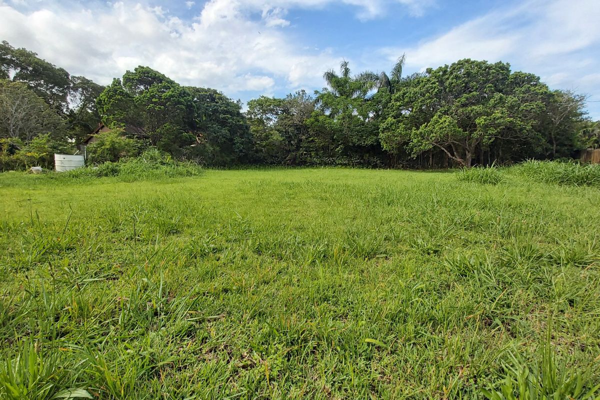 A spacious, level residential plot featuring a well-maintained grass lawn and established mature trees providing natural privacy and greenery.