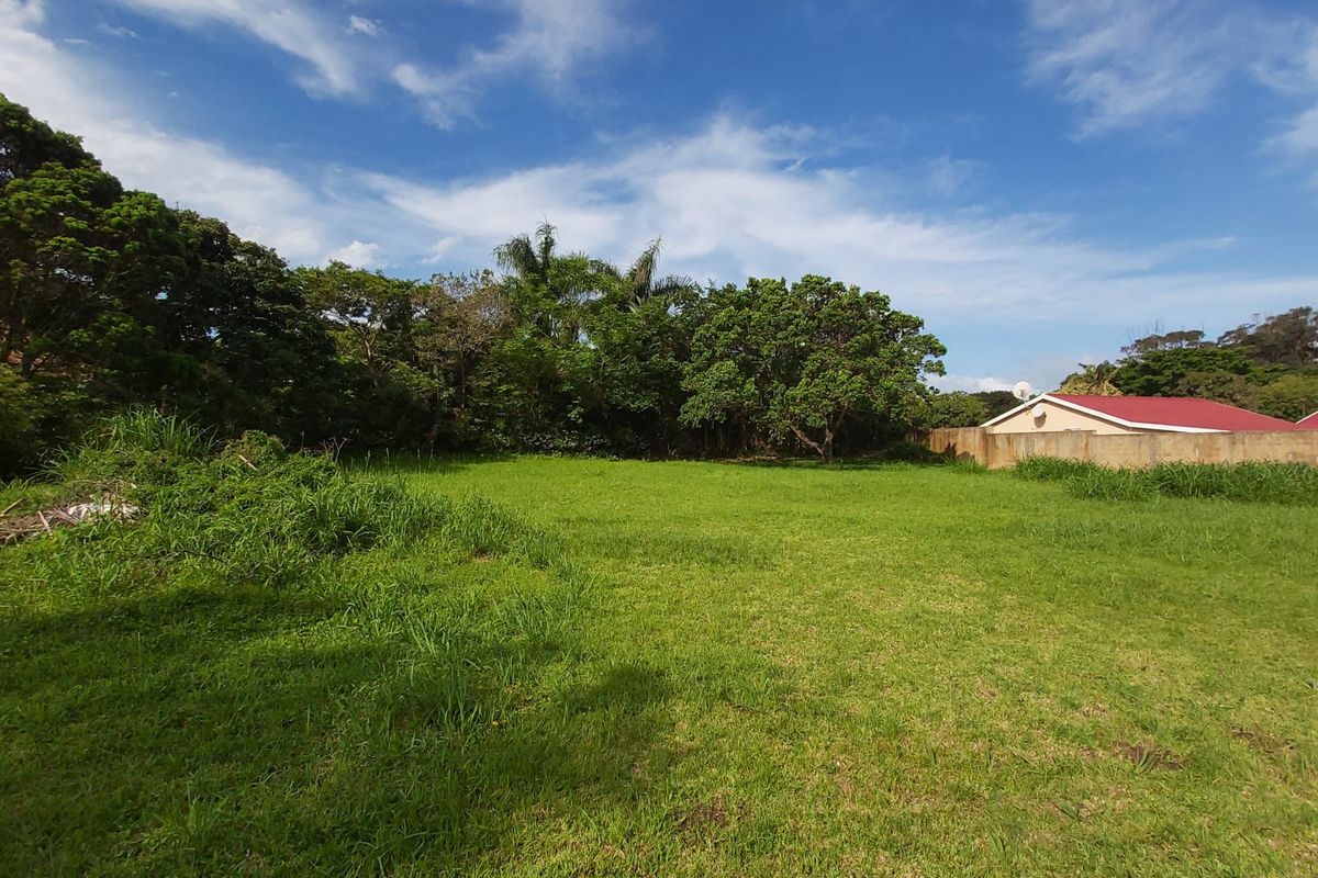 A spacious, grassed residential plot featuring mature trees and a boundary wall, offering a clear area for potential development.