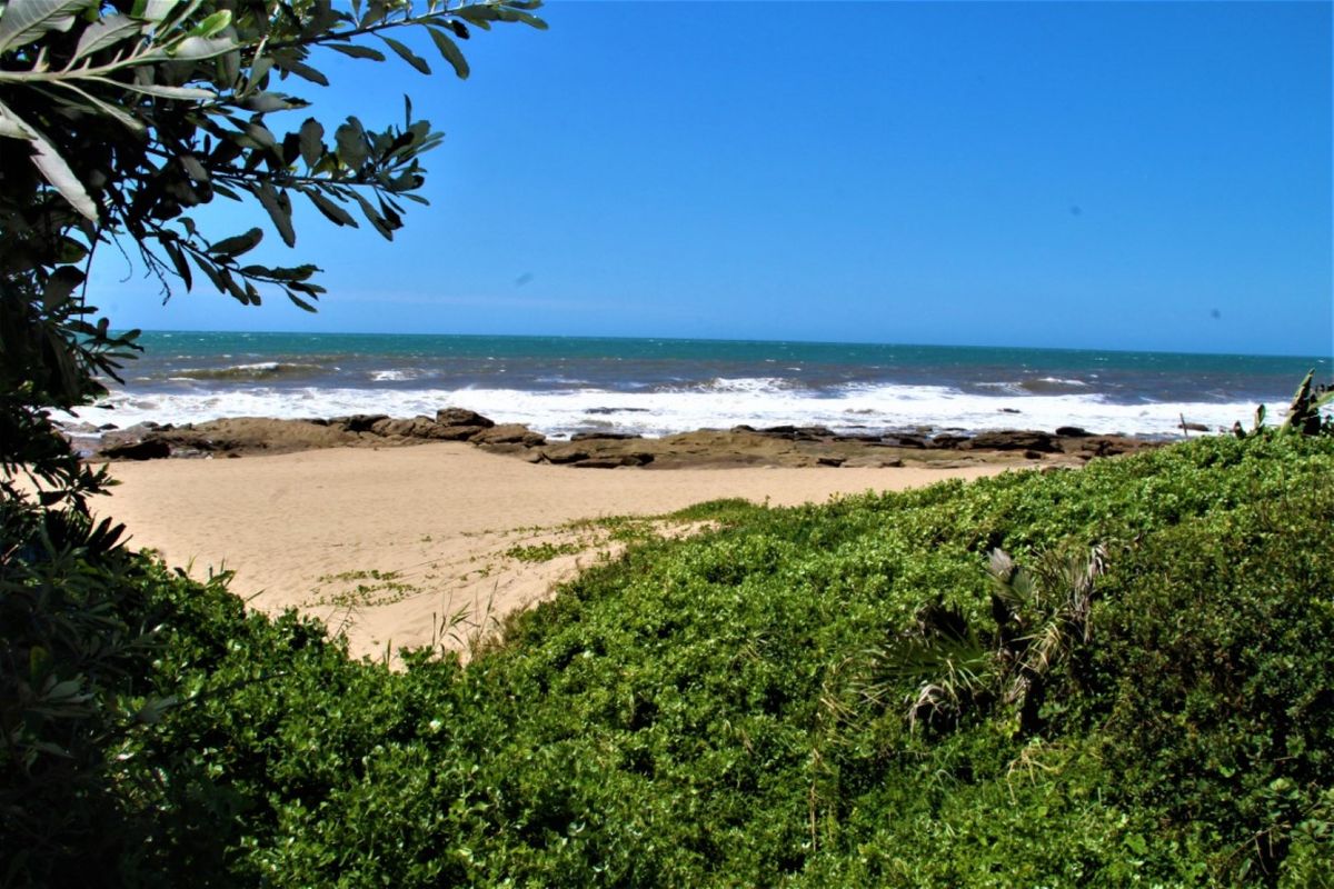 Direct Access To The Beach From This Spacious Residence - Photo 3