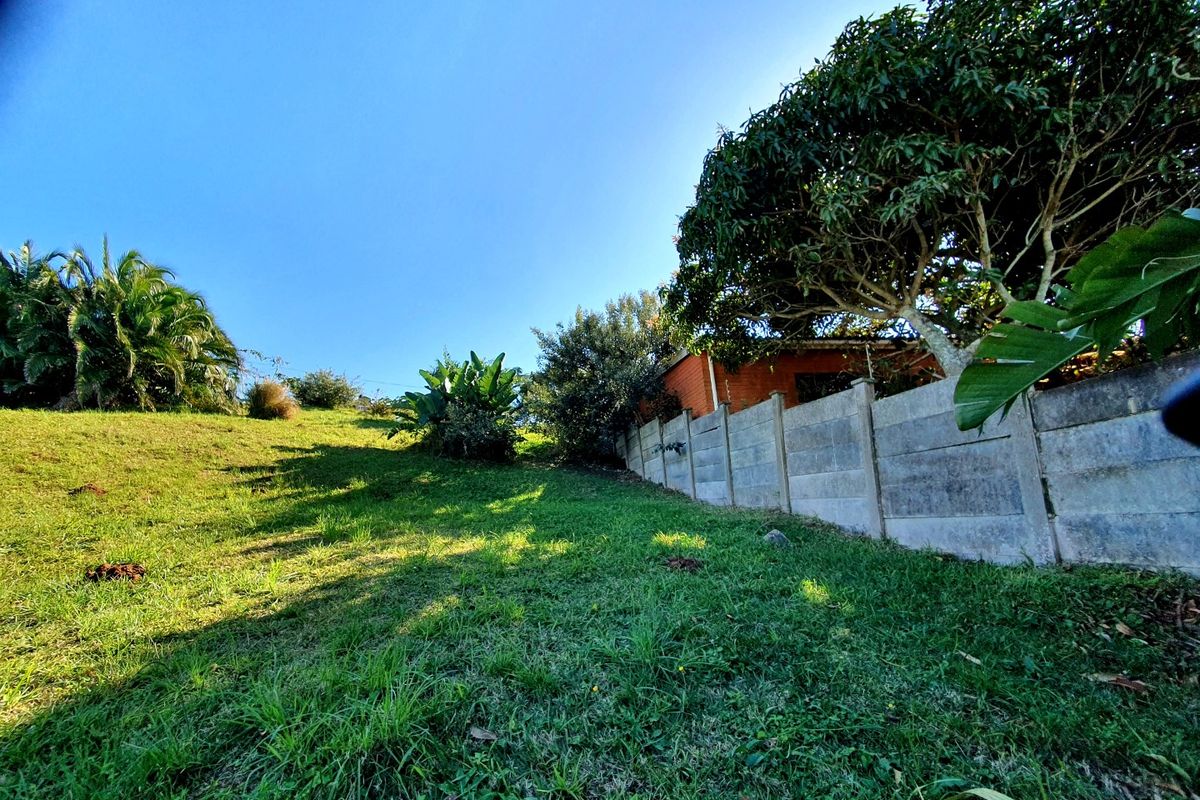 A sloped residential garden area featuring a precast concrete boundary wall and established mature trees.
