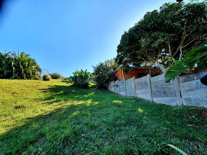 A sloped residential garden area featuring a precast concrete boundary wall and established mature trees.