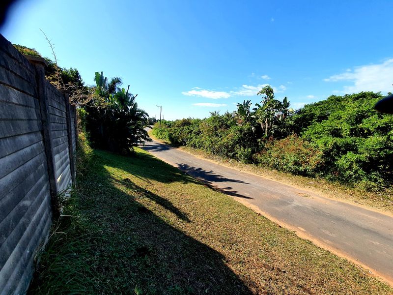 A view of the asphalt street frontage adjacent to the property, featuring a precast concrete boundary wall and surrounding natural vegetation.