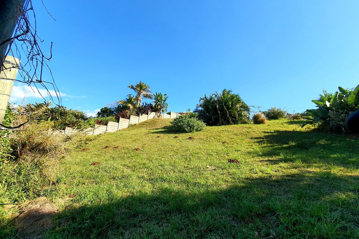 A sloped residential garden plot featuring established lawn, mature palm trees, and a precast concrete boundary wall.