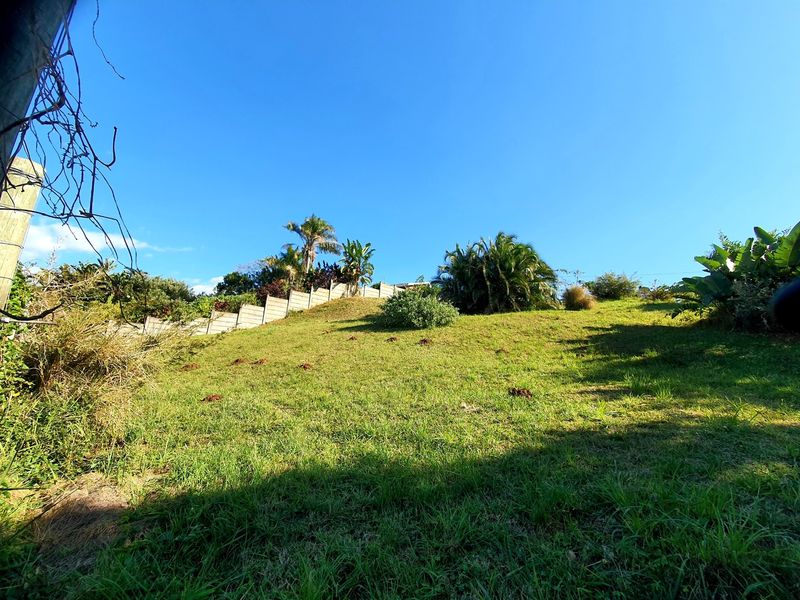 A sloped residential garden plot featuring established lawn, mature palm trees, and a precast concrete boundary wall.