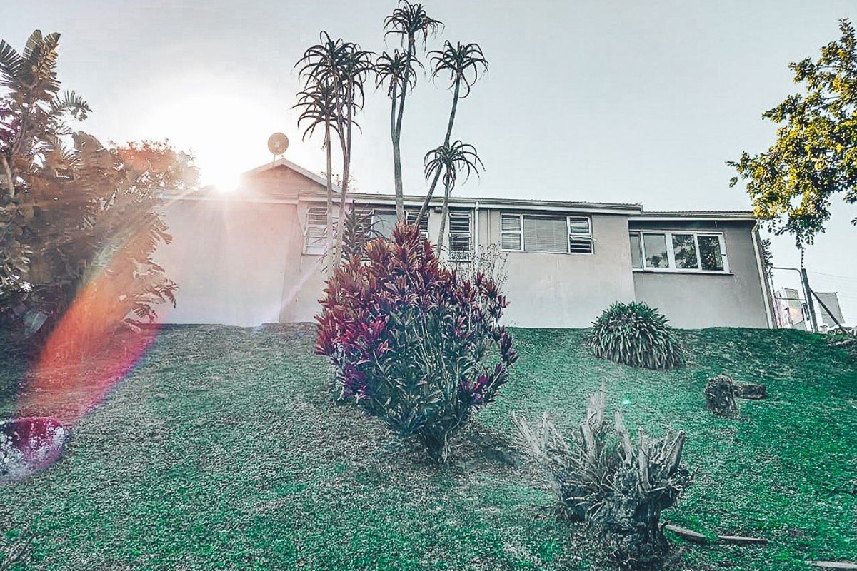 Rear view of the property featuring a sloped garden, established trees, and aluminium window frames.