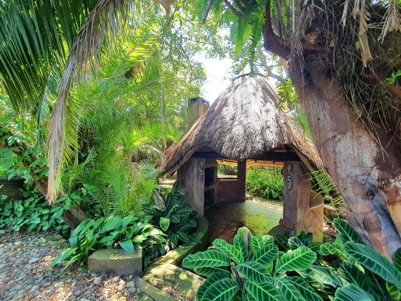 A rustic outdoor entertainment area featuring a traditional thatch-roofed lapa with a built-in braai, nestled within a lush, mature garden setting.