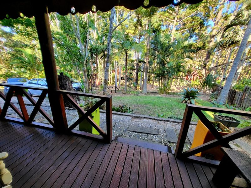 A covered timber deck patio overlooking a lush, tree-filled garden area.