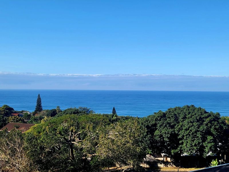A scenic elevated view overlooking the ocean and surrounding coastal landscape.