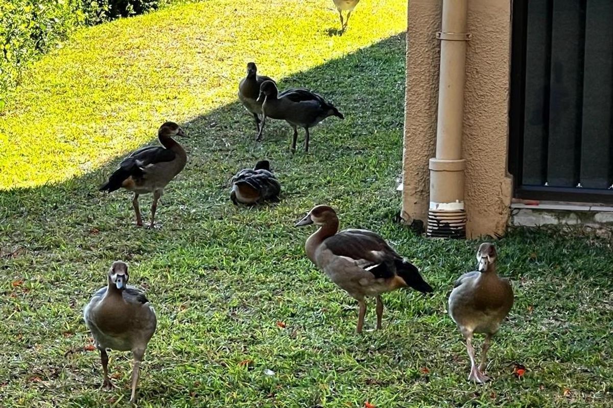 Popular Butleigh In St Michaels on Sea - Photo 3