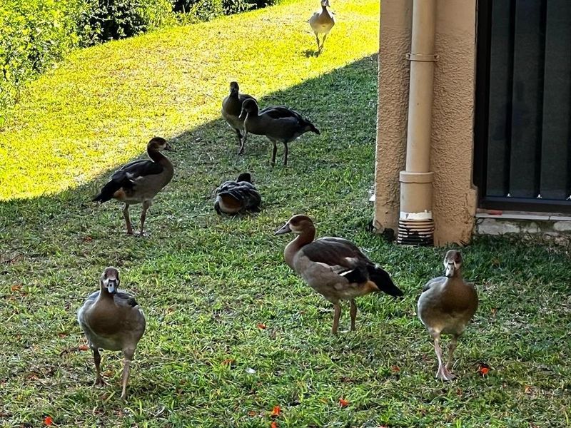 Popular Butleigh In St Michaels on Sea - Photo 3