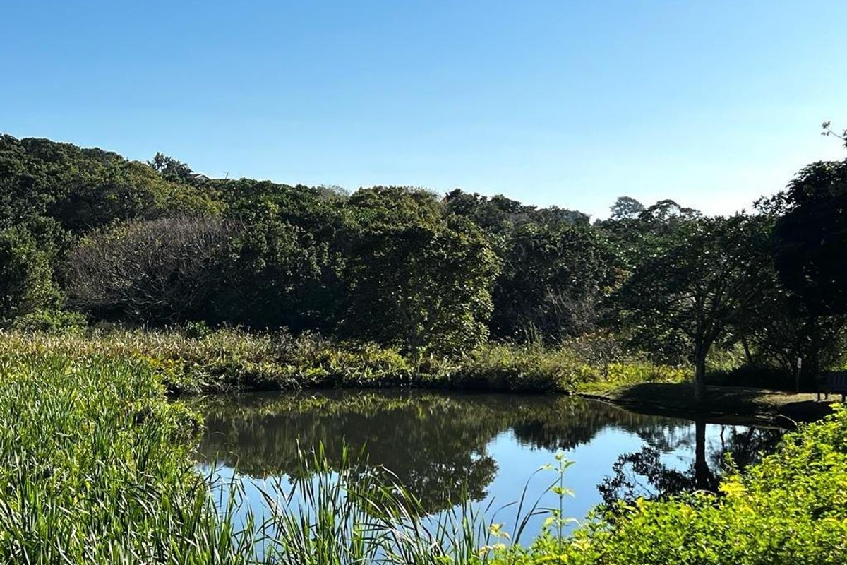 Popular Butleigh In St Michaels on Sea - Photo 4