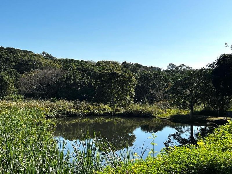Popular Butleigh In St Michaels on Sea - Photo 4