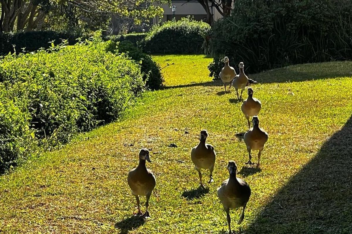 Popular Butleigh In St Michaels on Sea - Photo 2