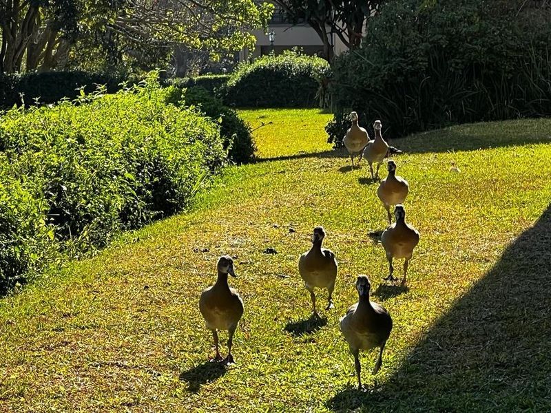 Popular Butleigh In St Michaels on Sea - Photo 2