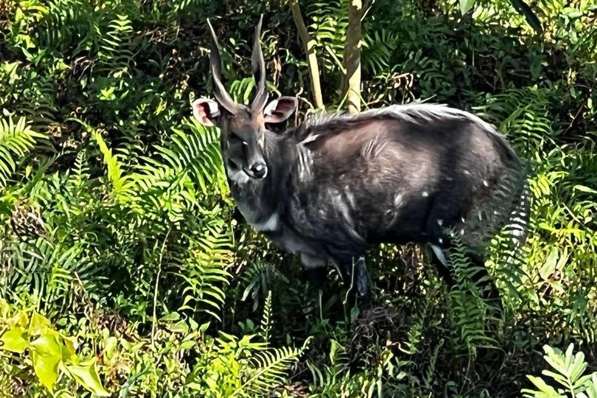 Popular Butleigh In St Michaels on Sea - Photo 5