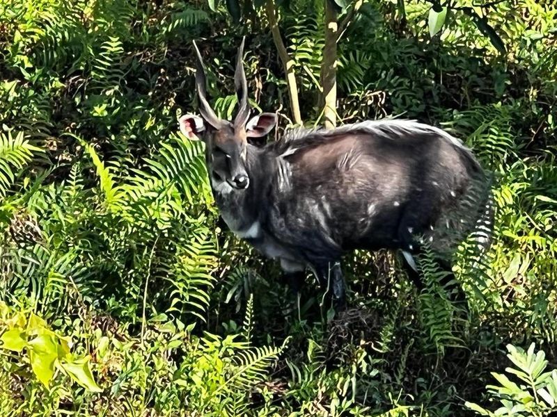 Popular Butleigh In St Michaels on Sea - Photo 5