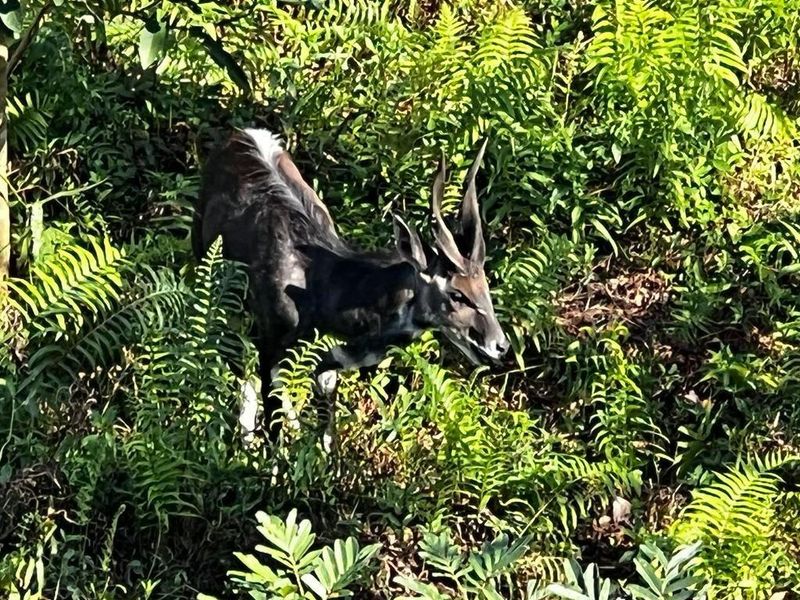 Popular Butleigh In St Michaels on Sea - Photo 6