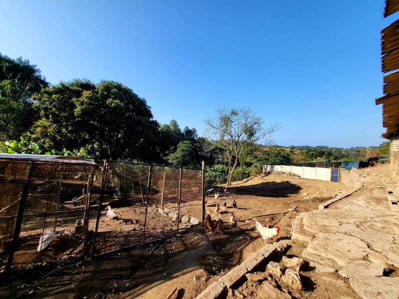 Outdoor farm area featuring wire mesh animal enclosures, concrete boundary walls, and rustic stone paving set against a rural landscape.