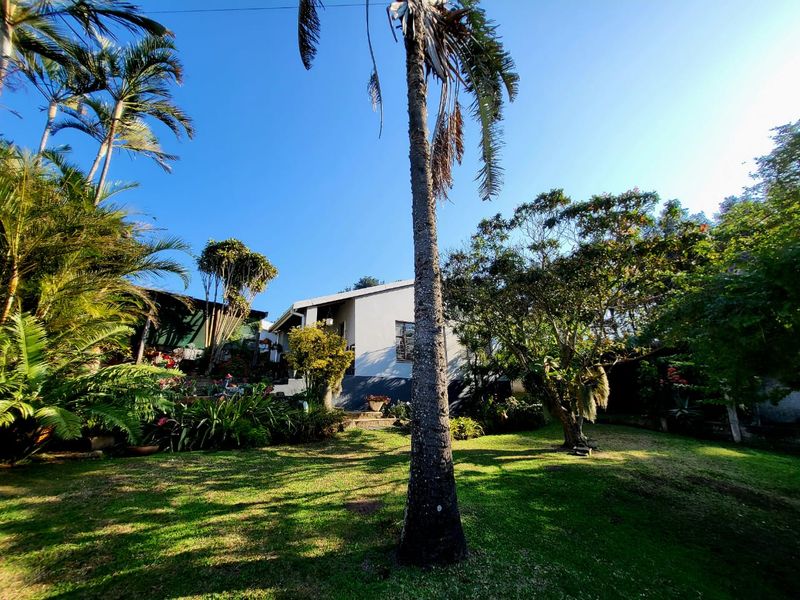 A view of the rear garden featuring mature trees, lush landscaping, and a well-maintained lawn leading towards the main dwelling.