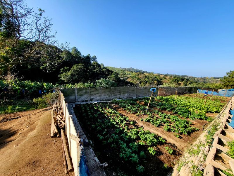 A cultivated vegetable garden plot enclosed by a precast concrete boundary wall with security razor wire, set against a rural landscape.