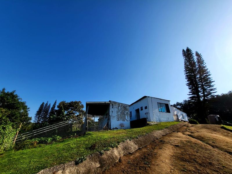 Rear view of a farm building showing weathered exterior walls, a metal roof structure, and surrounding grassy terrain with a dirt access path.