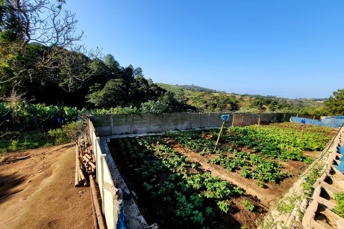 Productive Farm - Photo 3