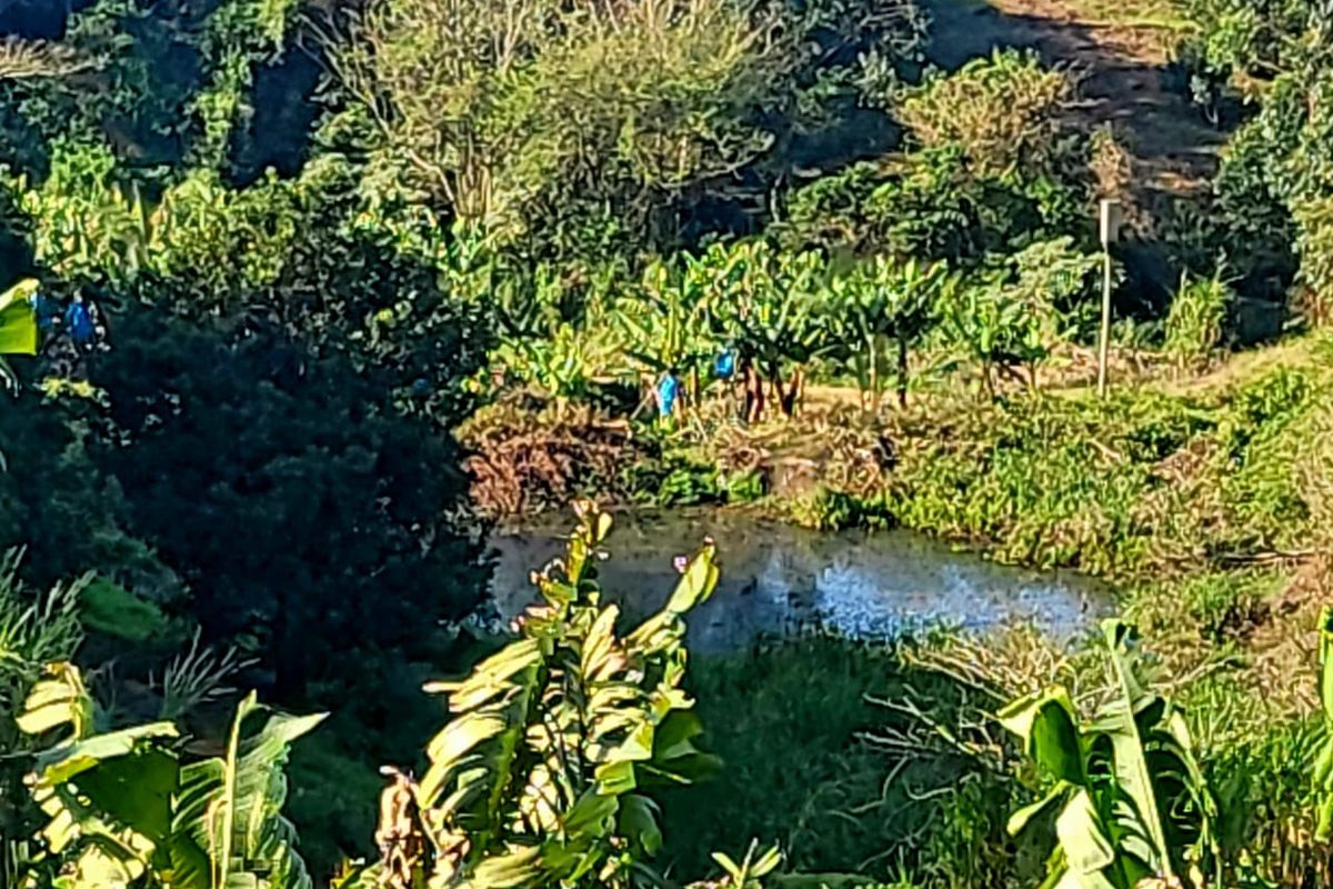 Productive Farm - Photo 2