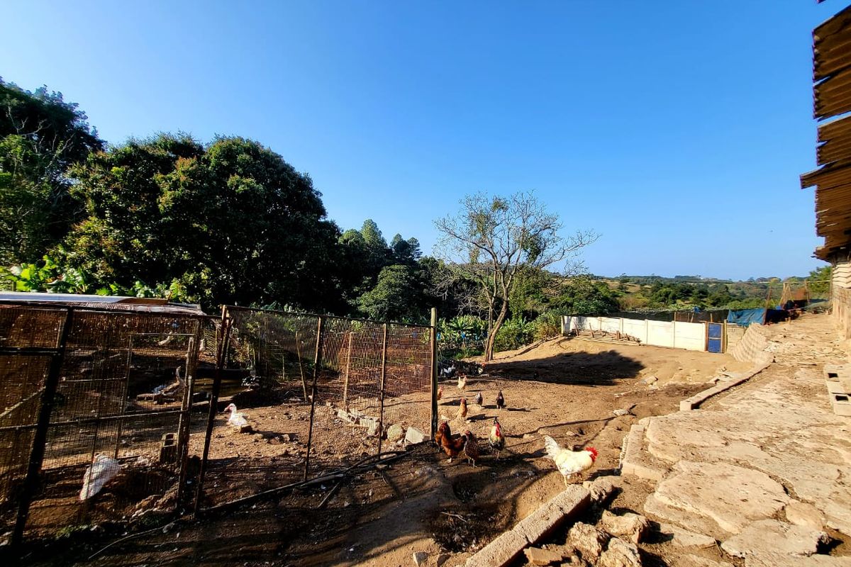 Productive Farm - Photo 4