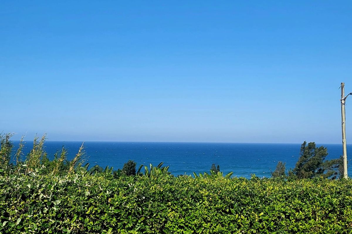 Move In Ready Family Home  - Photo 3