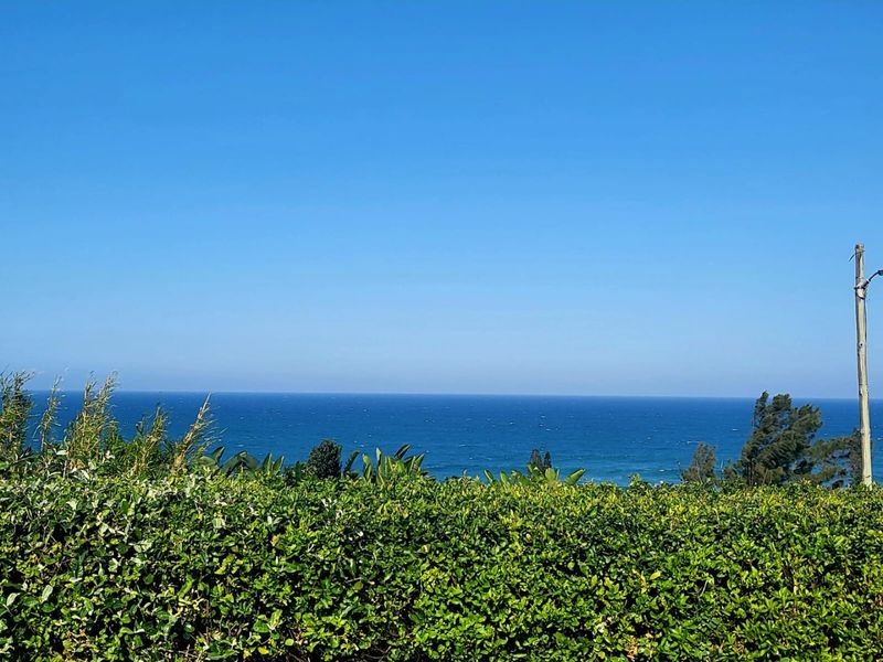 A clear, expansive view of the ocean horizon framed by natural greenery.