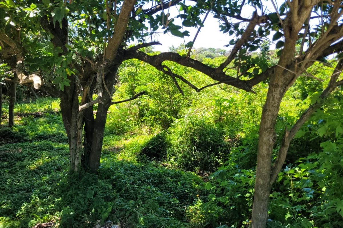 A Well Priced Vacant Stand - Photo 5