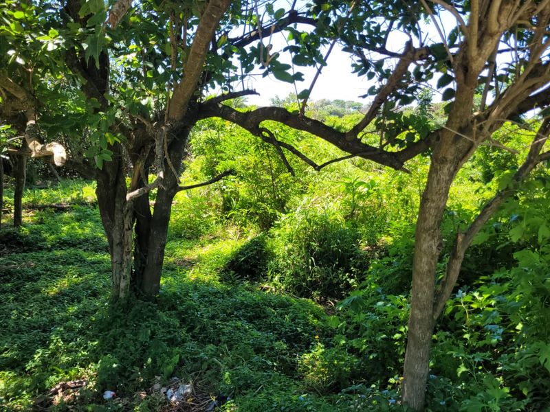 A Well Priced Vacant Stand - Photo 5