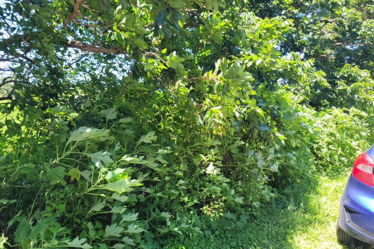 A Well Priced Vacant Stand - Photo 3